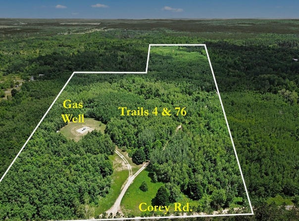 VL COREY ROAD, MANCELONA, MI 49659