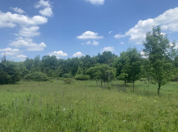 V/L 102nd Avenue, Grand Junction, MI 49056
