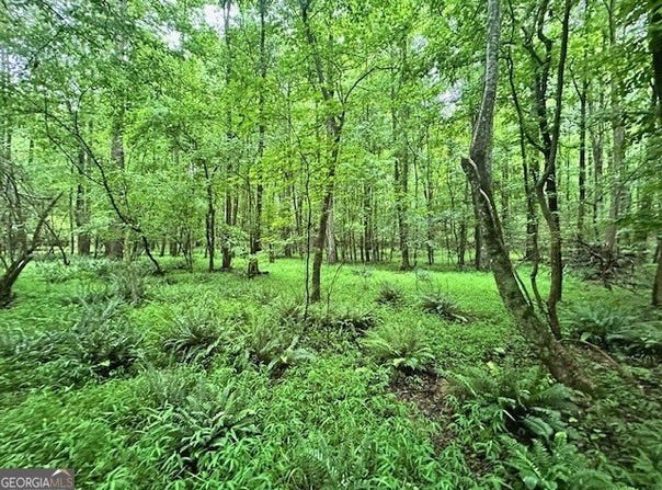 0 Cedar, Danielsville, GA 30633