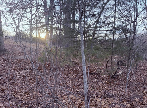 N Dade 173, Greenfield, MO 65661