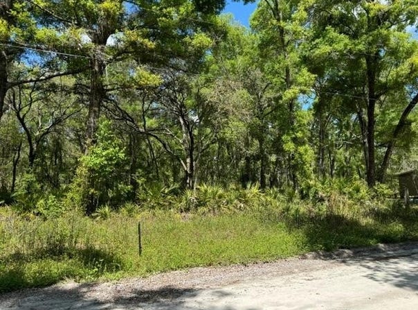 NE 472nd Avenue, Old Town, FL 32680