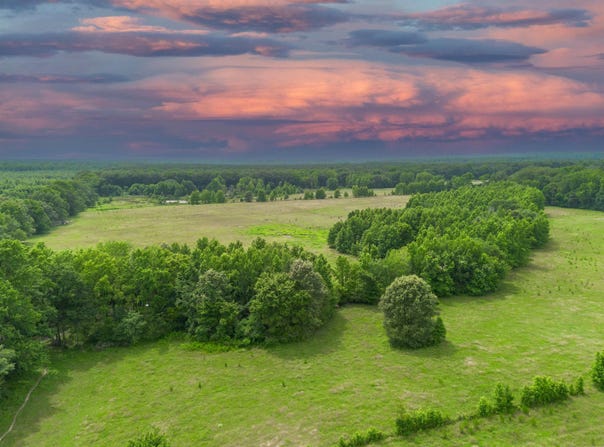 2652 Doug Jackson Road, Carlisle, AR 72024