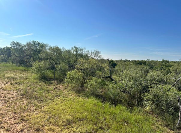 161.75 Acres Motley Co, Matador, TX 79256
