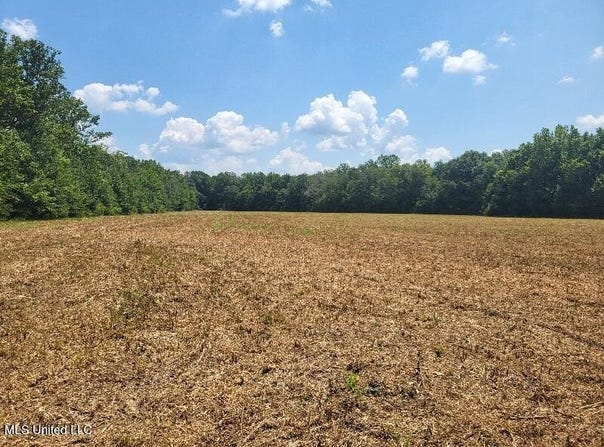 1604 N Old Canton Road, Canton, MS 39046