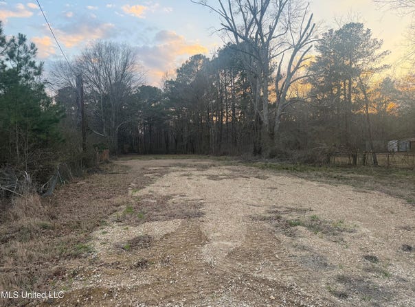 3193 U.S. 49, Florence, MS 39073