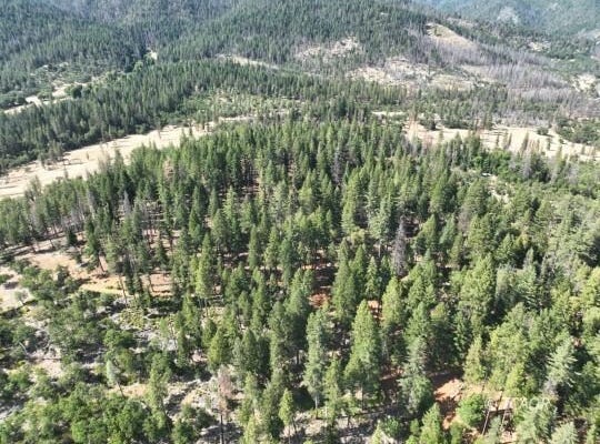 159 Buck Ln, Hayfork, CA 96041