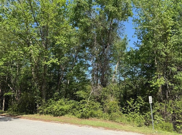0 Haseldon  Drive, Manning, SC 29102