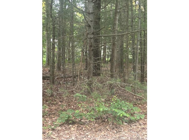 37 Ships Rudder Drive, Mashpee, MA 02649