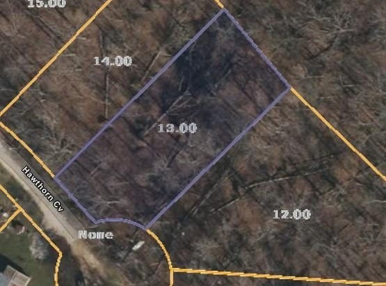 ID13 Hawthorn Cv, HOLLADAY, TN 38341