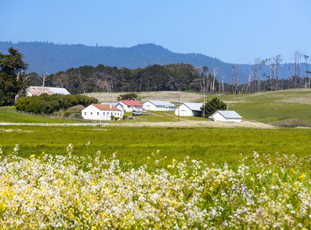 21601 S Highway 1, Point Arena, CA 95468