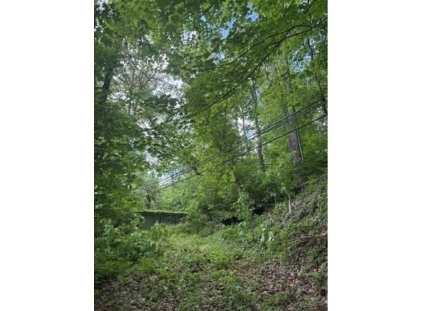 TBD Round Bottom Hill, Moundsville, WV 26041