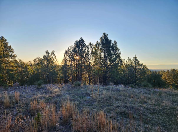 27317 Flagstone Road, Hot Springs, SD 57747