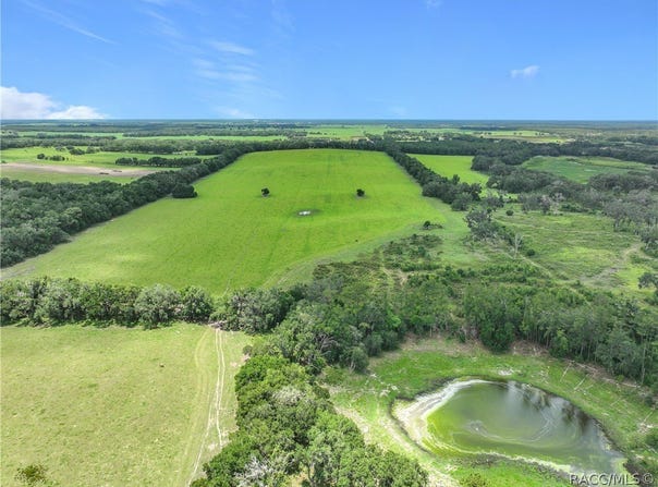 7352 SE 175th Avenue, Morriston, FL 32668