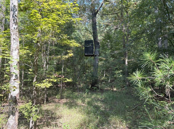 0 AURELLE RD., Strong, AR 71765