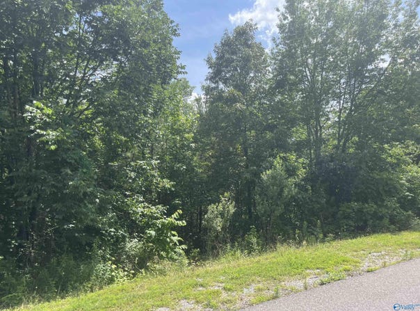 Lot 1 Meadow Creek Road, Glencoe, AL 35905