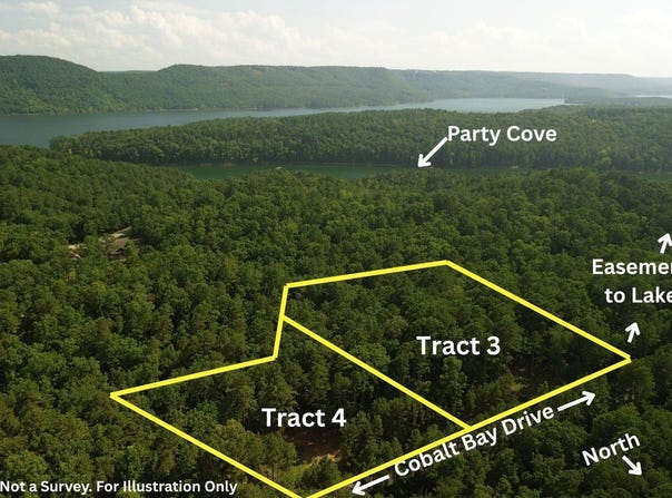 TBD Tract 4 Cobalt Bay, Shirley, AR 72153