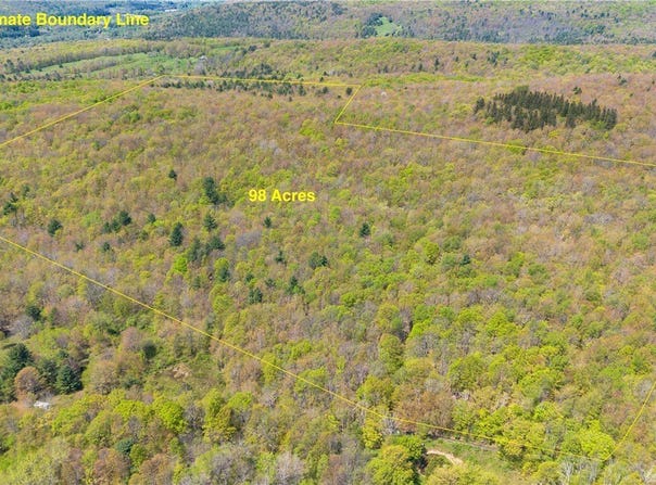 Sanly Road, Franklin, NY 13839