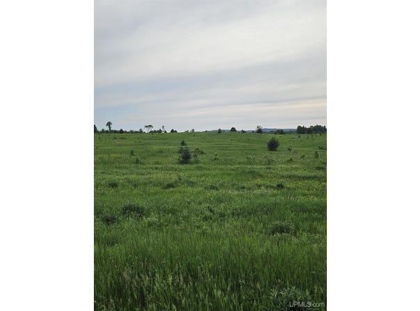 TBD E Branch, Mass City, MI 49948-0000