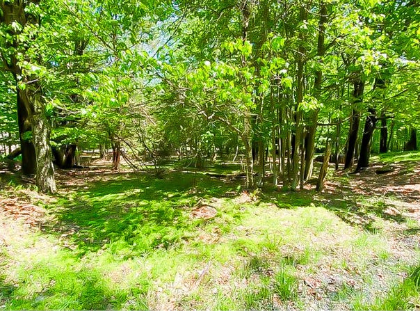 Lot 510 Panther Circle, Lake Ariel, PA 18436