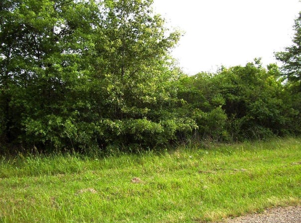 118 LR 27, Ashdown, AR 71822