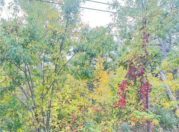 Ridge Road, Lewiston, NY 14092