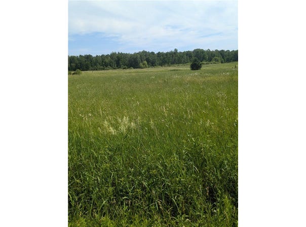 Lot 3 165th Avenue, Stanley, WI 54768