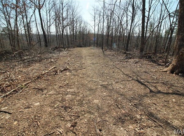 0 Madison CR 411 (120a), Fredericktown, MO 63645