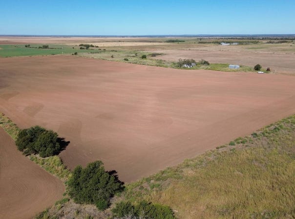 FM 262, Thalia, TX 79227