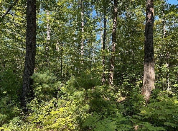 0 E Wilderness Court, Barnes, WI 54873