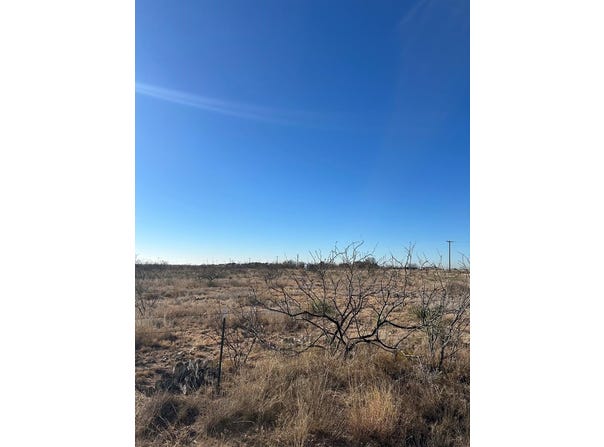 Ponderosa Dr, Snyder, TX 79549