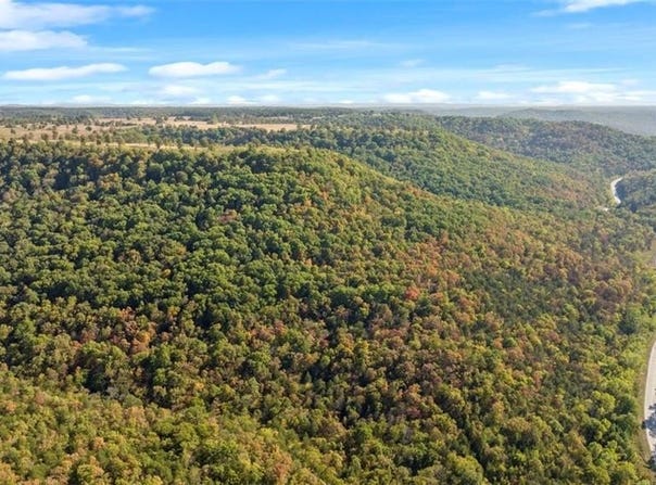 Hwy 221S, Berryville, AR 72616