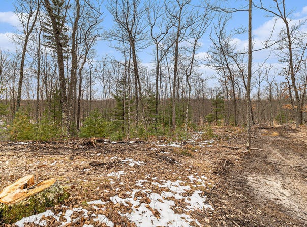 00 E Oakwood Trail, Reed City, MI 49677