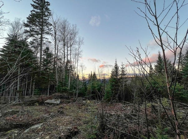 Mill Brook Road lot: 16, Sandy River Plt, ME 04970