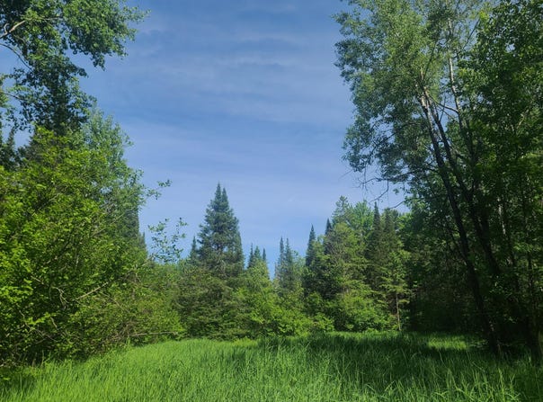 ON OLD 8 RD W, Prentice, WI 54556