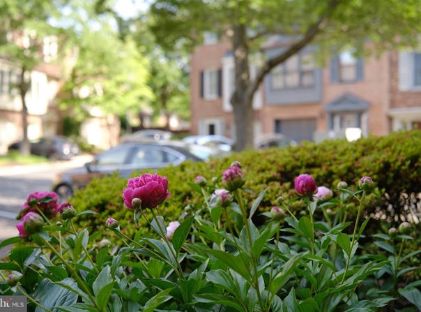 3816 USHER COURT, ALEXANDRIA, VA 22304