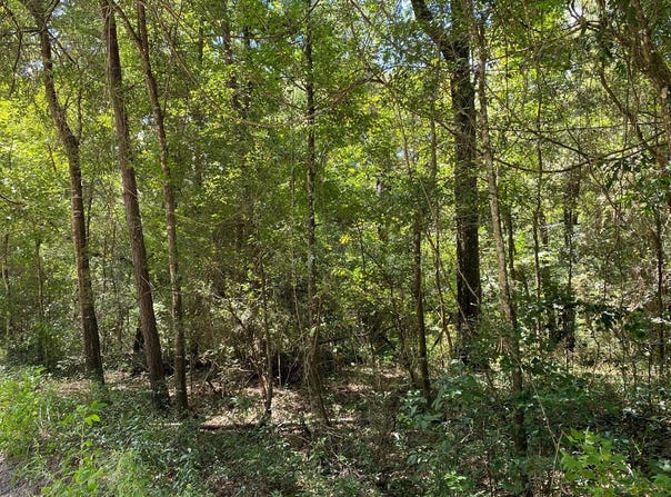 SW 76TH DRIVE lot: 39, Jasper, FL 32053