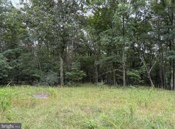 9.31 AC PINE TREE DRIVE, BLOOMERY, WV 26817