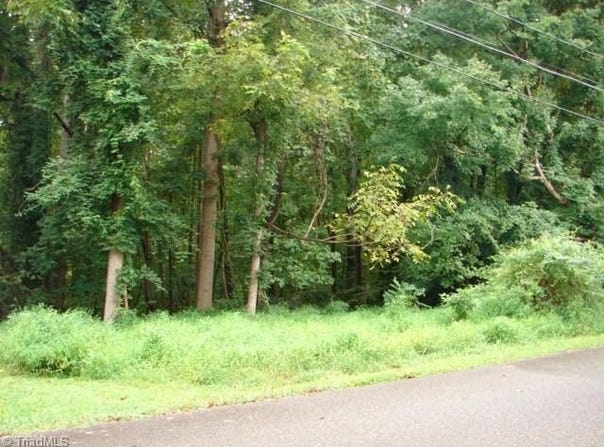 Richardson Road, Randleman, NC 27317