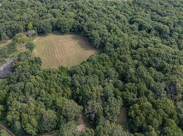 Malico Mountain Road, West Fork, AR 72774