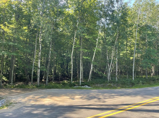 4756 N Ridge Road, Mears, MI 49436