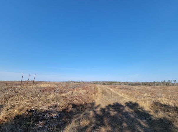 Near KNOWLES RD, Loretta, WI 54896