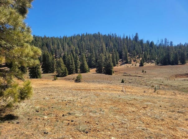 520 & 530 N Grassy Trail, Duck Creek, UT 84762
