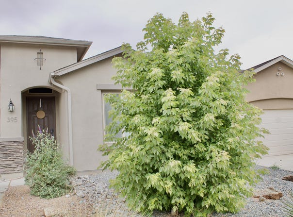395 Adeline Avenue, Los Lunas, NM 87031