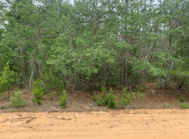 David Avenue, Interlachen, FL 32148