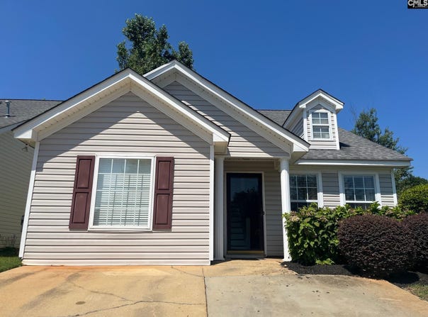100 Recluse Street, Chapin, SC 29036-9263