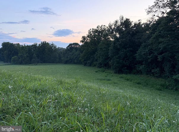 0 NOVUM ROAD, REVA, VA 22735