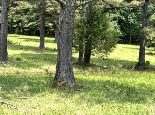 Pr Off County Road 164, Fremont, MO 63941