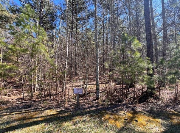 Deyton Dr lot: 50, BLAIRSVILLE, GA 30512
