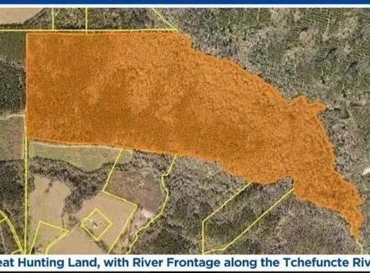 220 Acres Z Mcdaniel Road, Kentwood, LA 70444