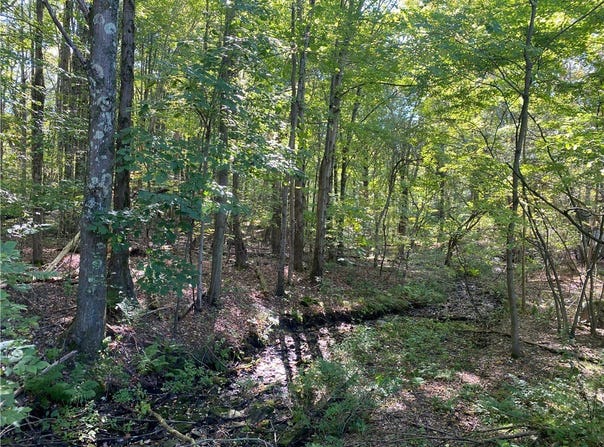 Carlyn Drive, Saegertown, PA 16433